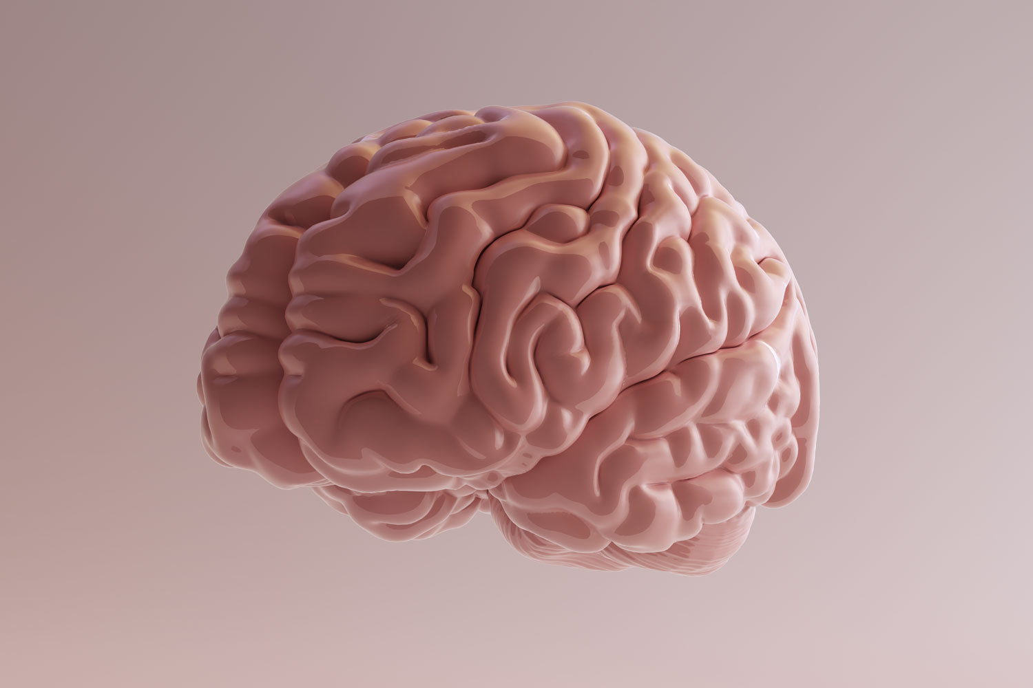 Omega 3 für eine bessere Gehirnleistung