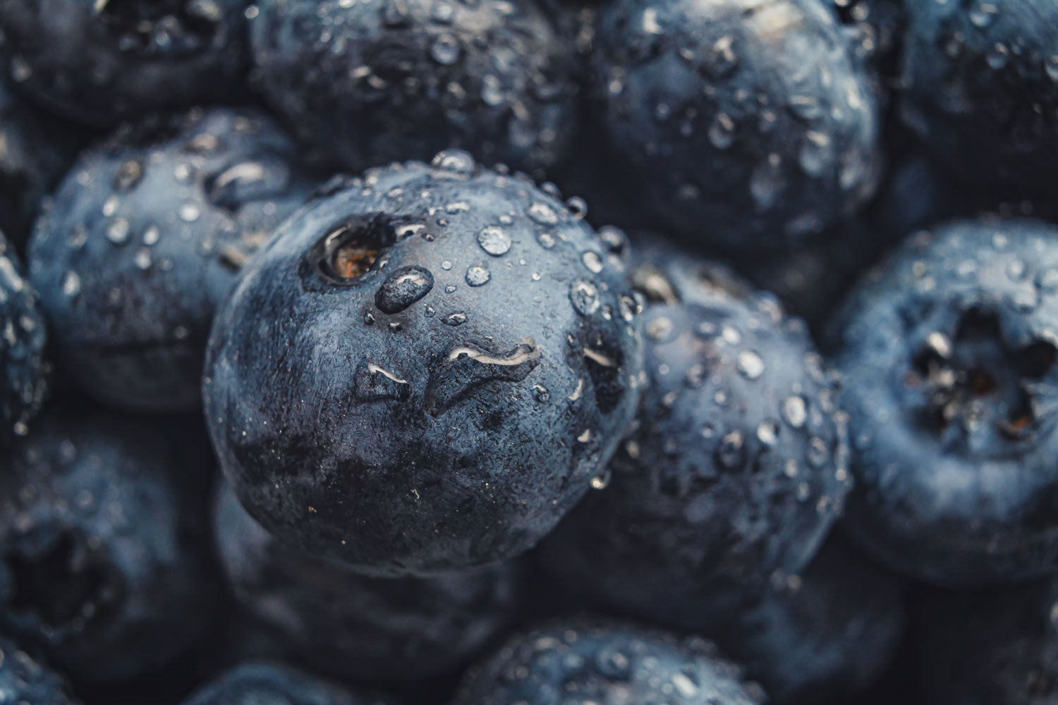 Antioxidantien im Fokus