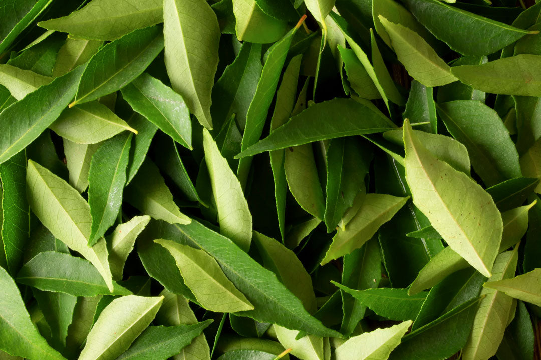 Pflanzliches vs. tierisches Eisen – wo ist der Unterschied?