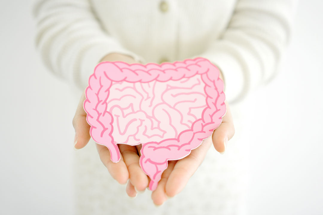 Welche Nährstoffe bei Reizdarm?