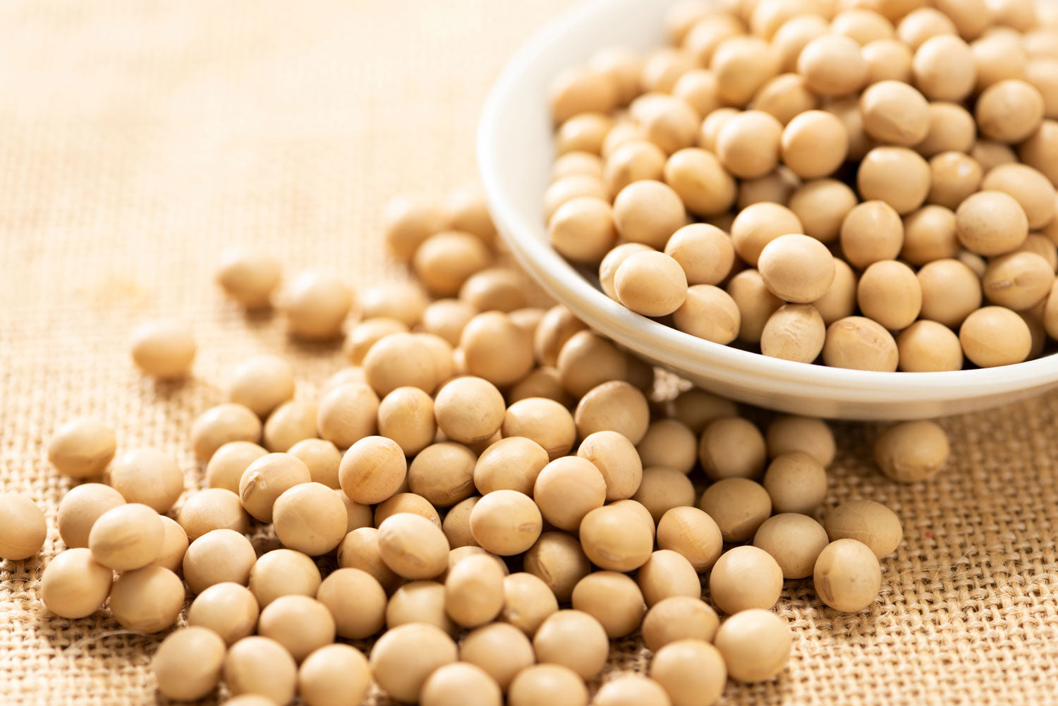 Vitamin K2 - Das vergessene Vitamin