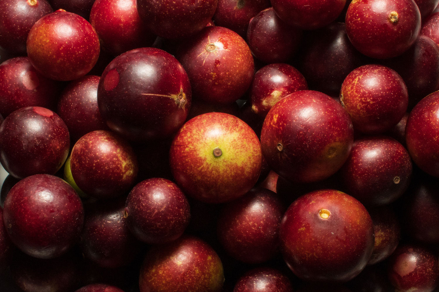 Acerola und Camu Camu: Die Vitamin C-reichsten Früchte der Welt in Bio-Qualität