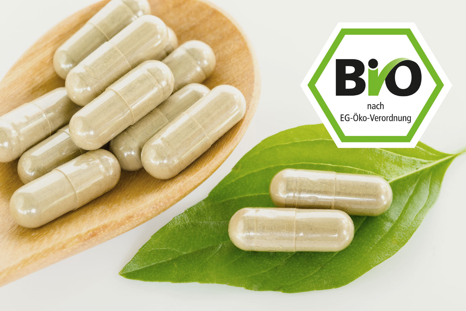 Kann Nahrungsergänzung überhaupt bio sein?