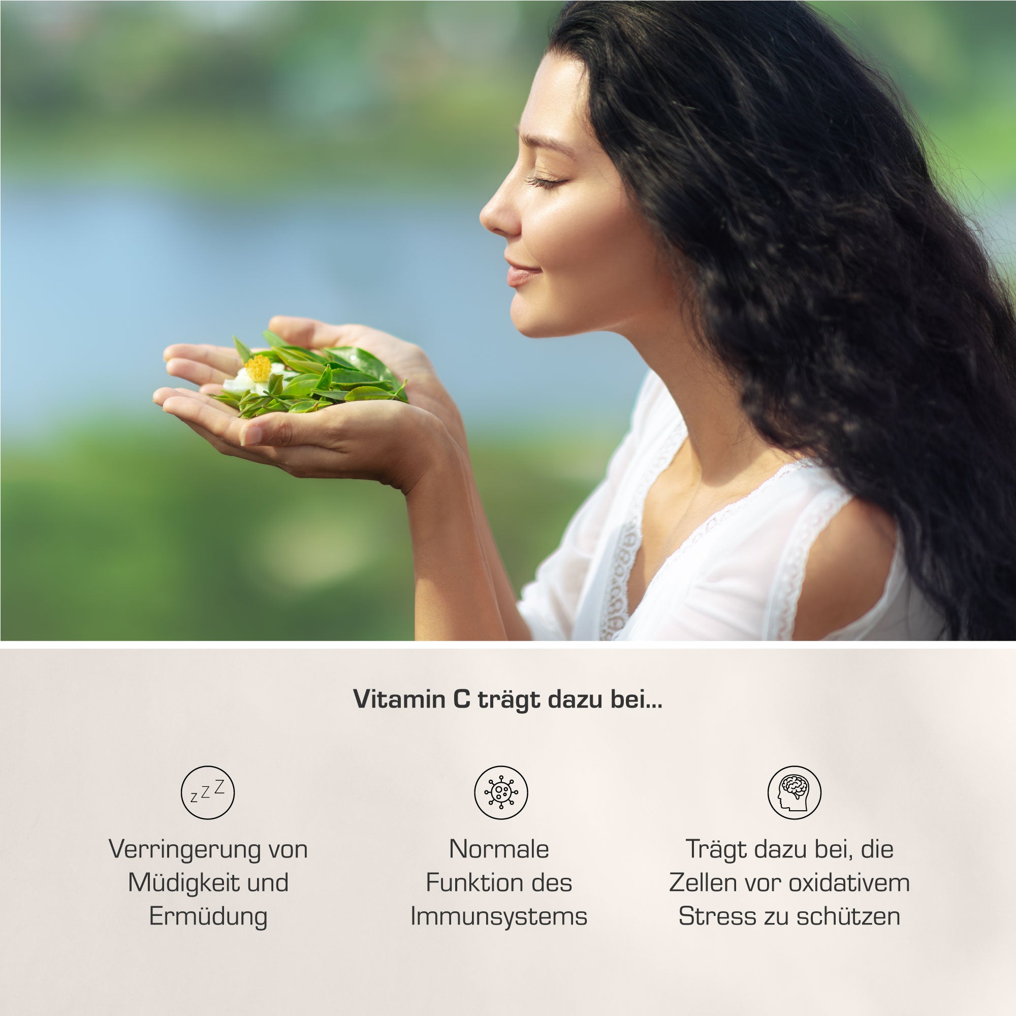 Bio Grüntee Extrakt Plus C