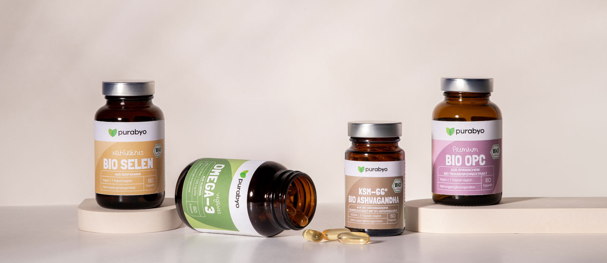 IMG_0347_desktop.jpg__PID:2e42b491-8d43-4b90-bc54-1f4c47c56695