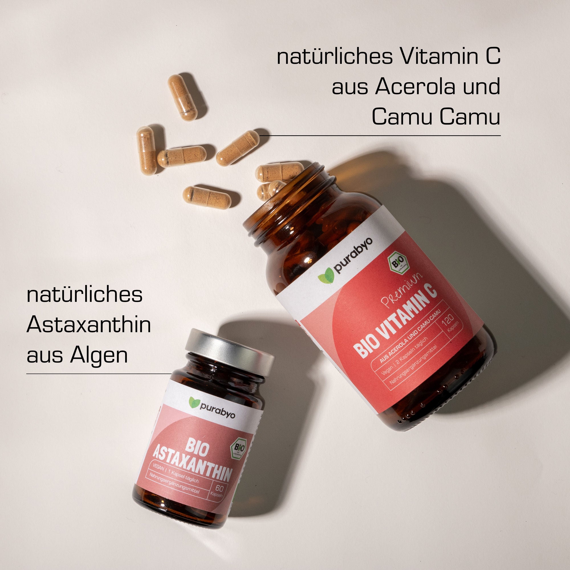 Antioxidantien 6-Monats Vorteilspaket