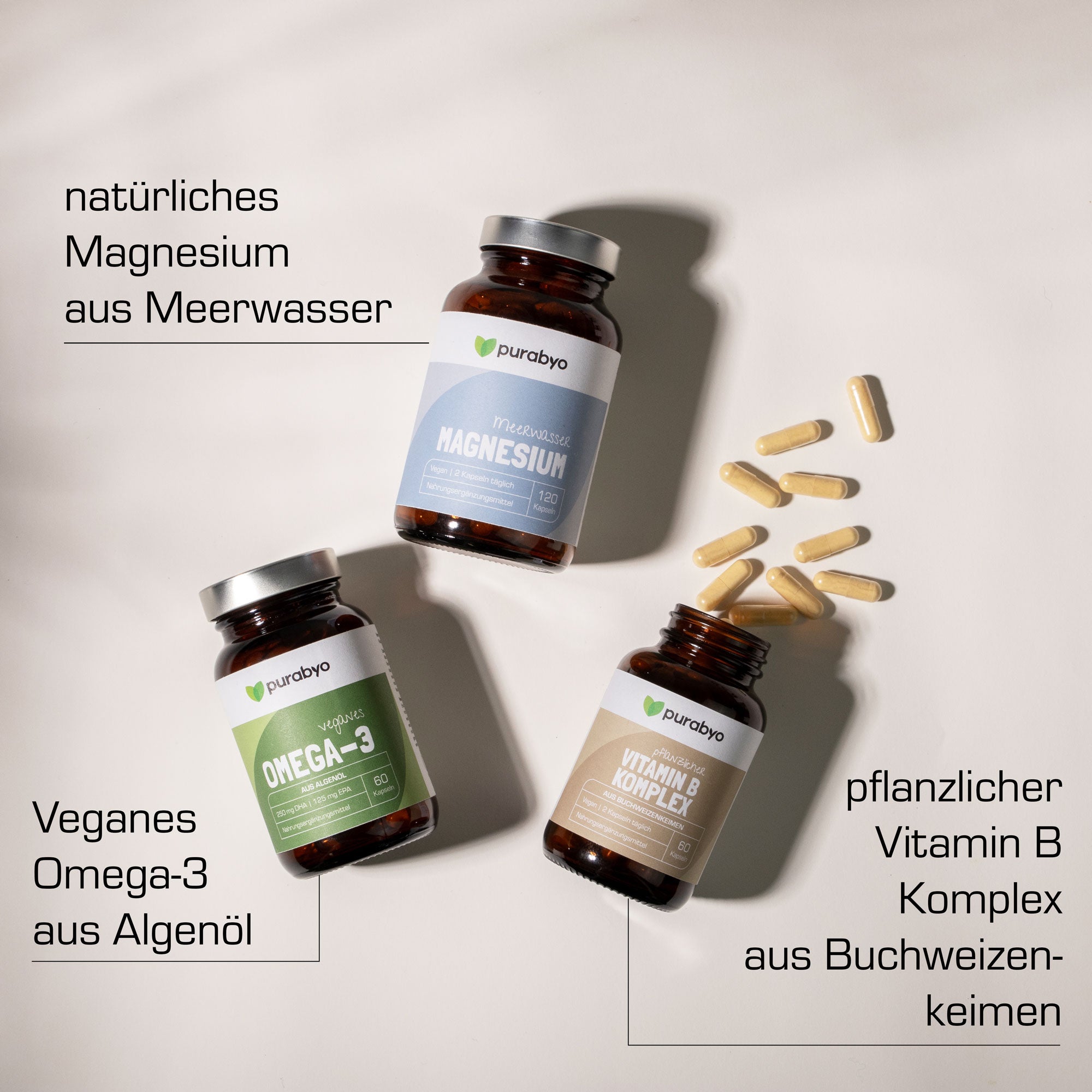 GEIST & GEHIRN Vorteilspaket