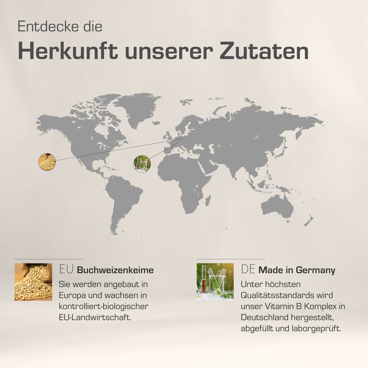 VITAMIN B KOMPLEX PFLANZLICH