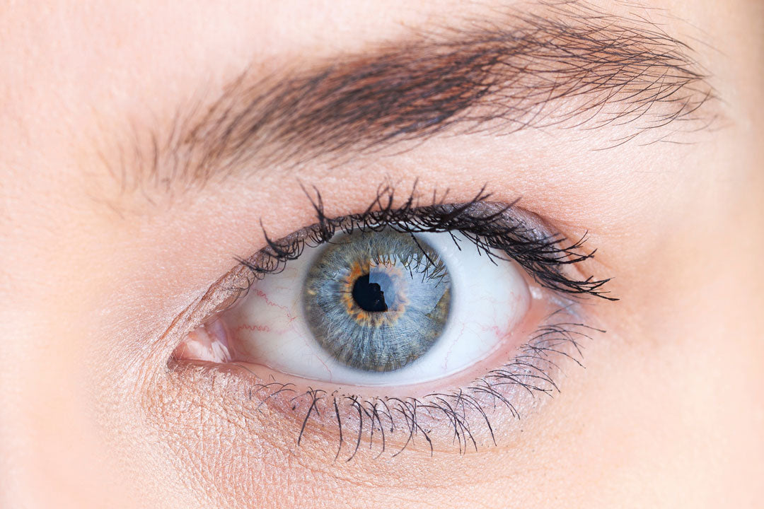 Omega-3 für die Augen – das bringt es wirklich
