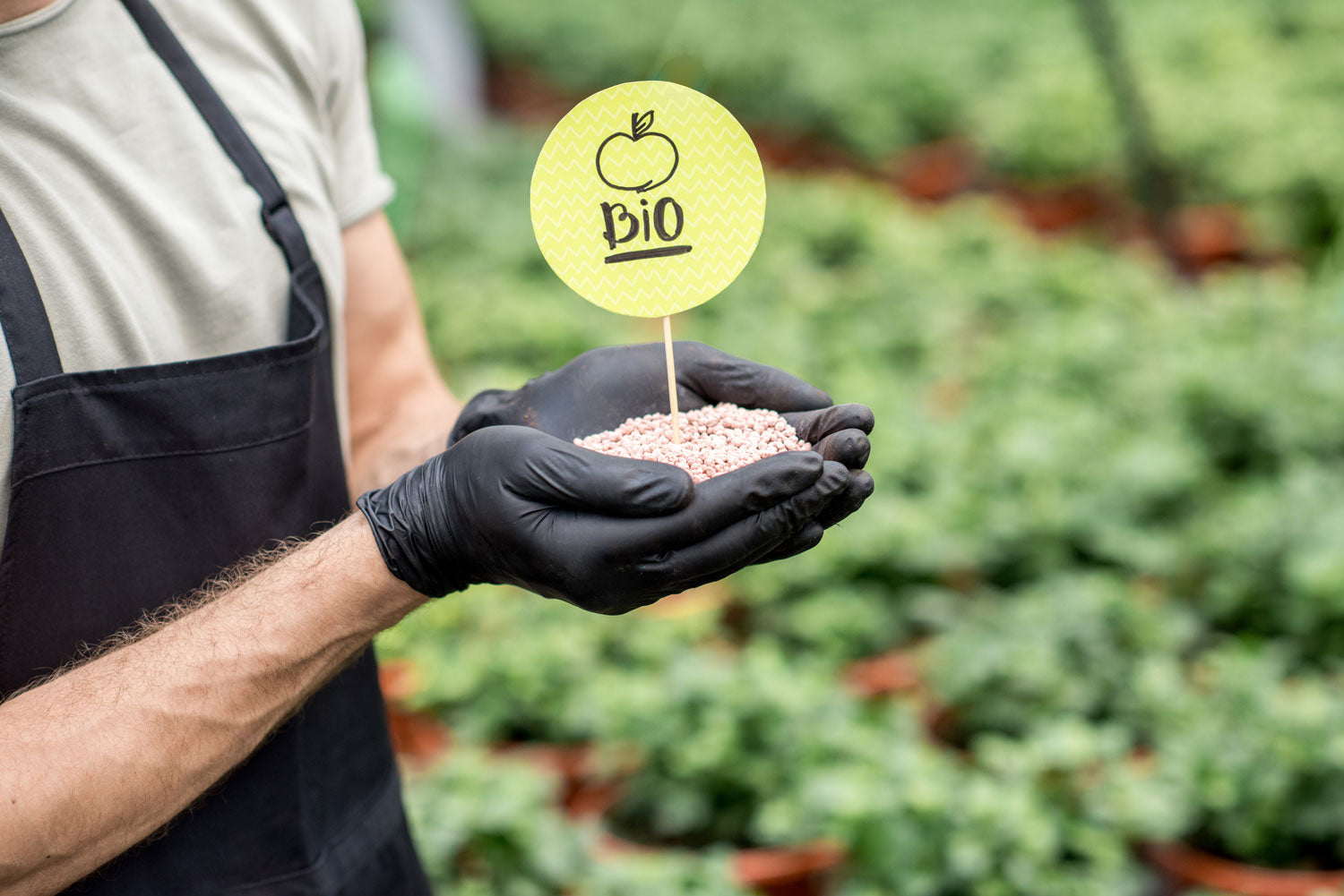 Bio-Zutaten für Mikronährstoffe – warum sie so knapp sind