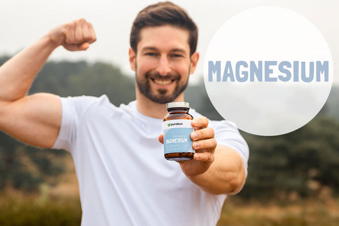 Was ist die beste Magnesiumquelle?
