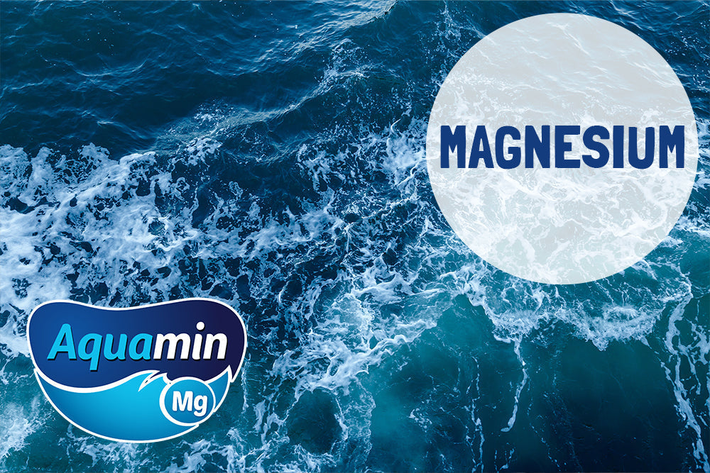 Aquamin Magnesium: Das Magnesium mit der besten Bioverfügbarkeit