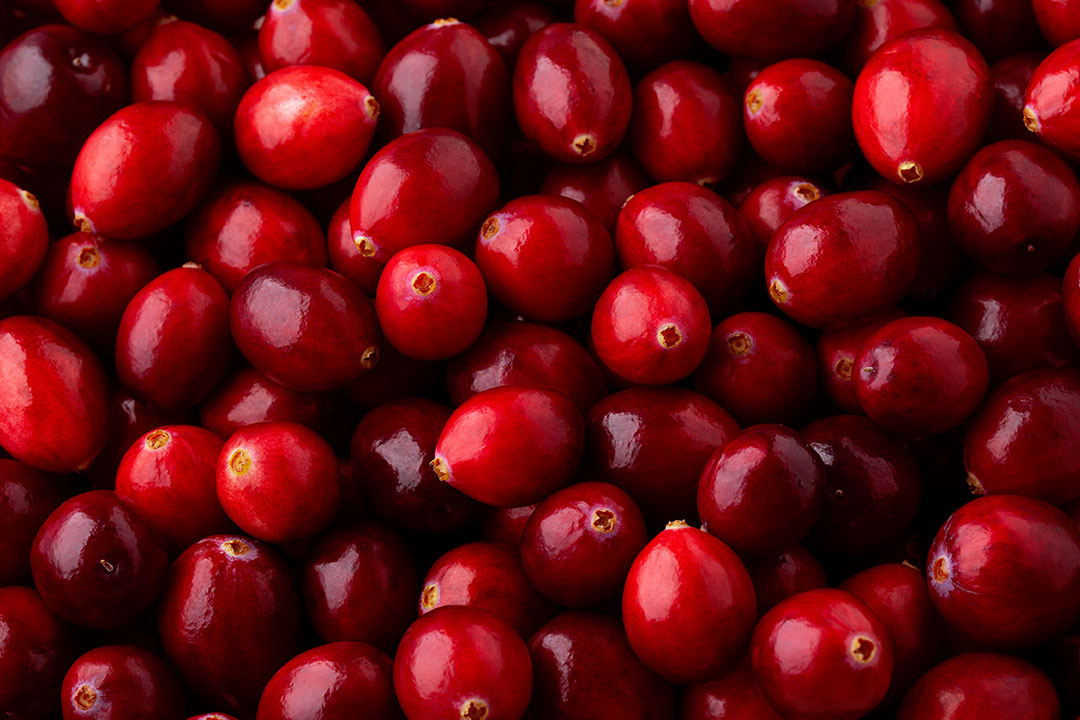 Bio Cranberry