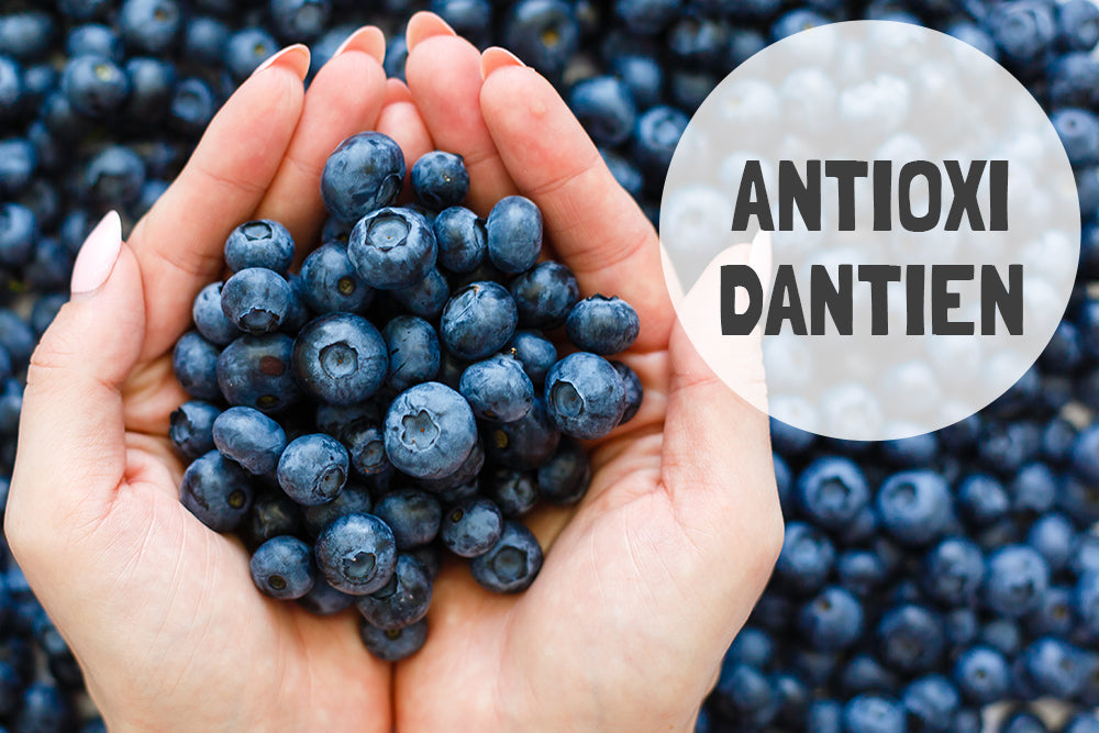 Antioxidantien im Fokus