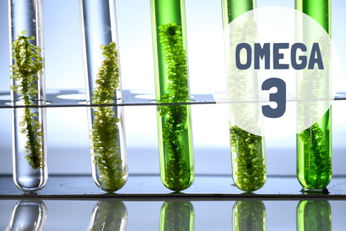 Algenöl - die vegane Omega-3 Quelle