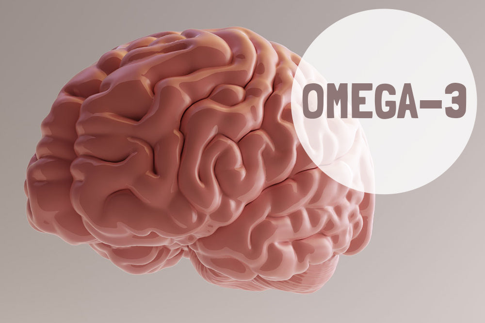 Omega 3 für eine bessere Gehirnleistung
