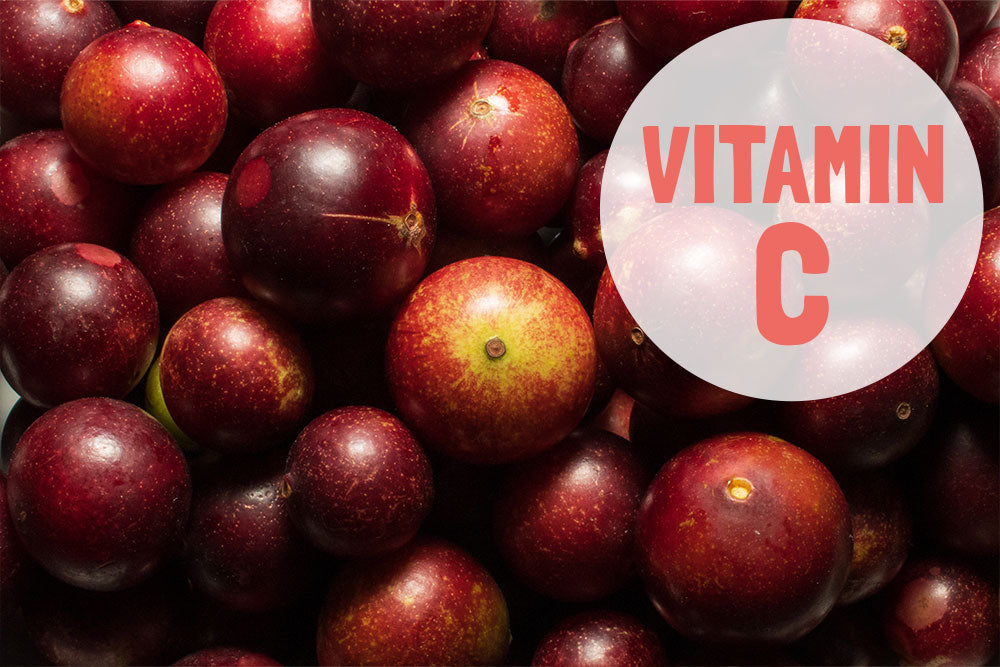 Acerola und Camu Camu: Die Vitamin C-reichsten Früchte der Welt in Bio-Qualität