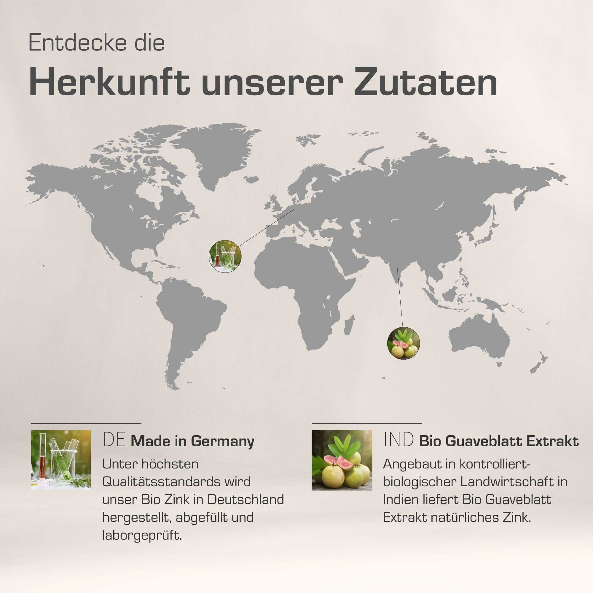 Pflanzliches Bio Zink