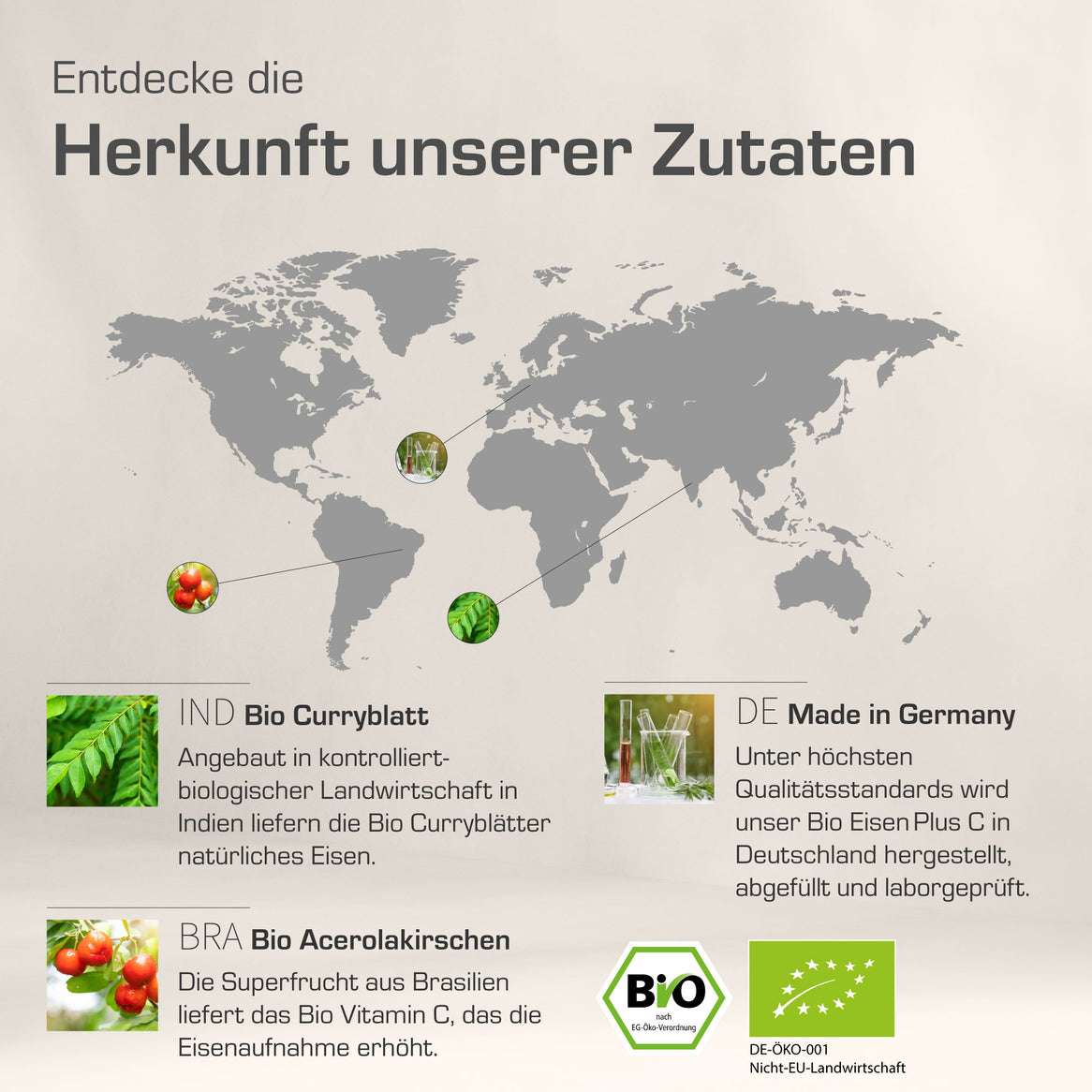 Wann Eisen einnehmen? Darauf solltest du achten!