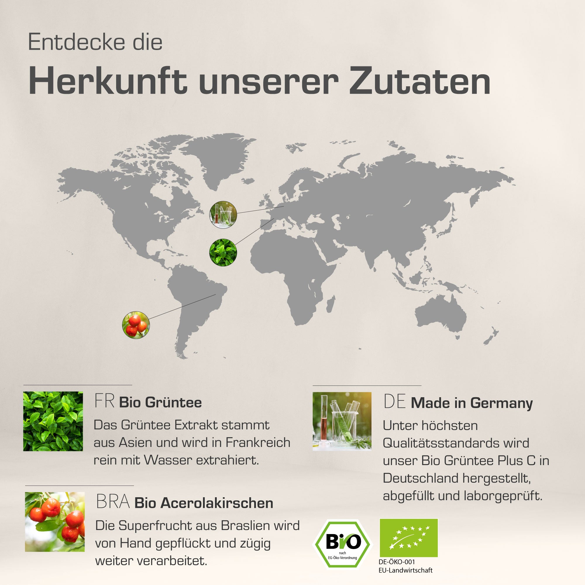 Bio Grüntee Extrakt Plus C
