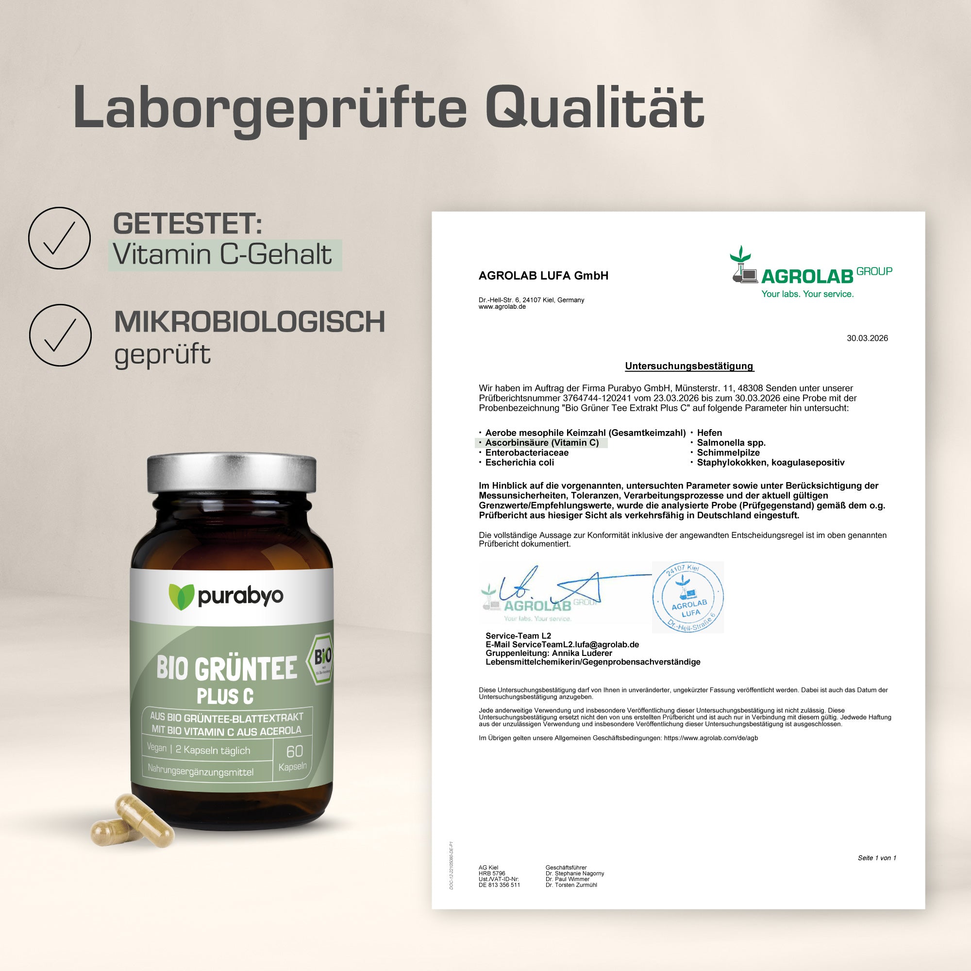 Bio Grüntee Extrakt Plus C