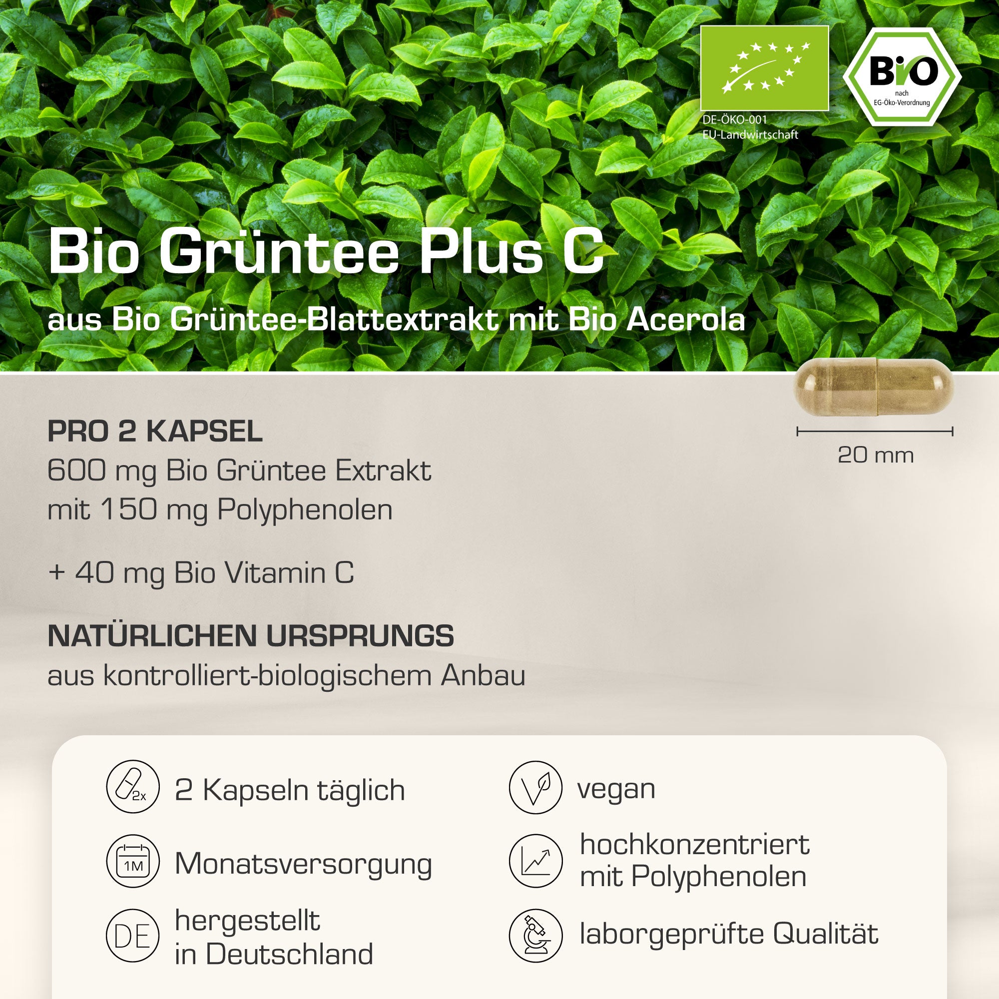 Bio Grüntee Extrakt Plus C