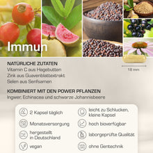 Lade das Bild in den Galerie-Viewer, IMMUN
