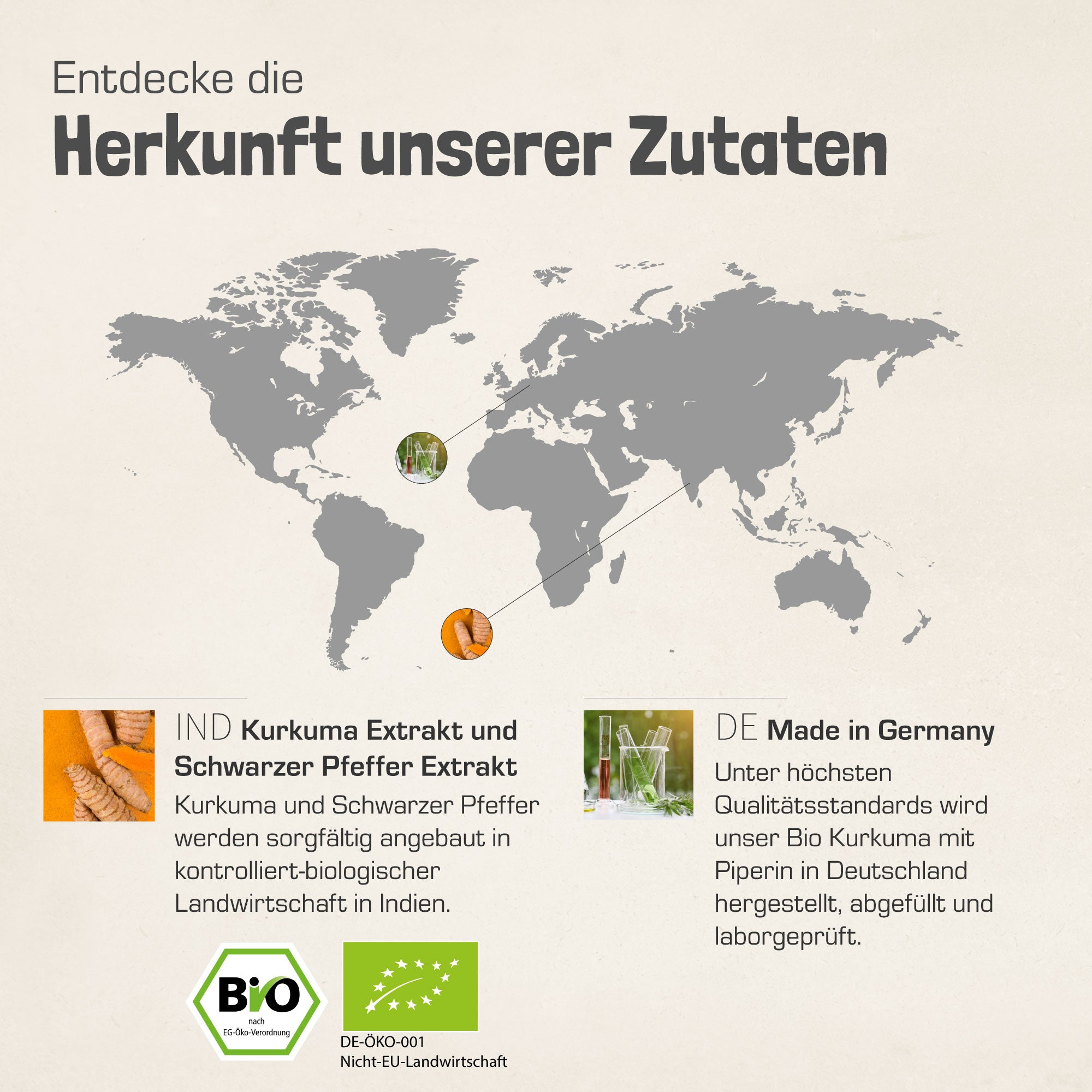 BIO KURKUMA EXTRAKT mit PIPERIN