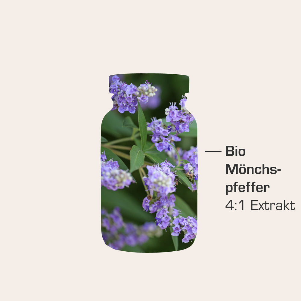 Bio Mönchspfeffer