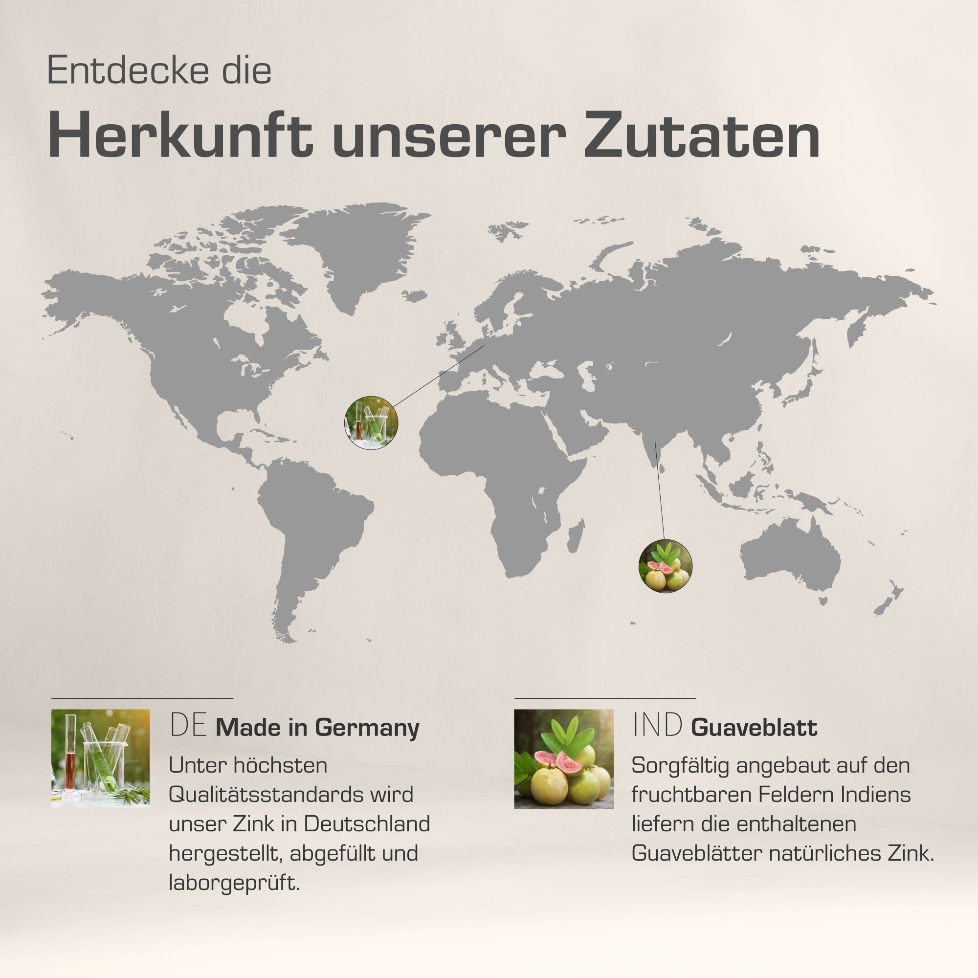 ZINK KAPSELN PFLANZLICH