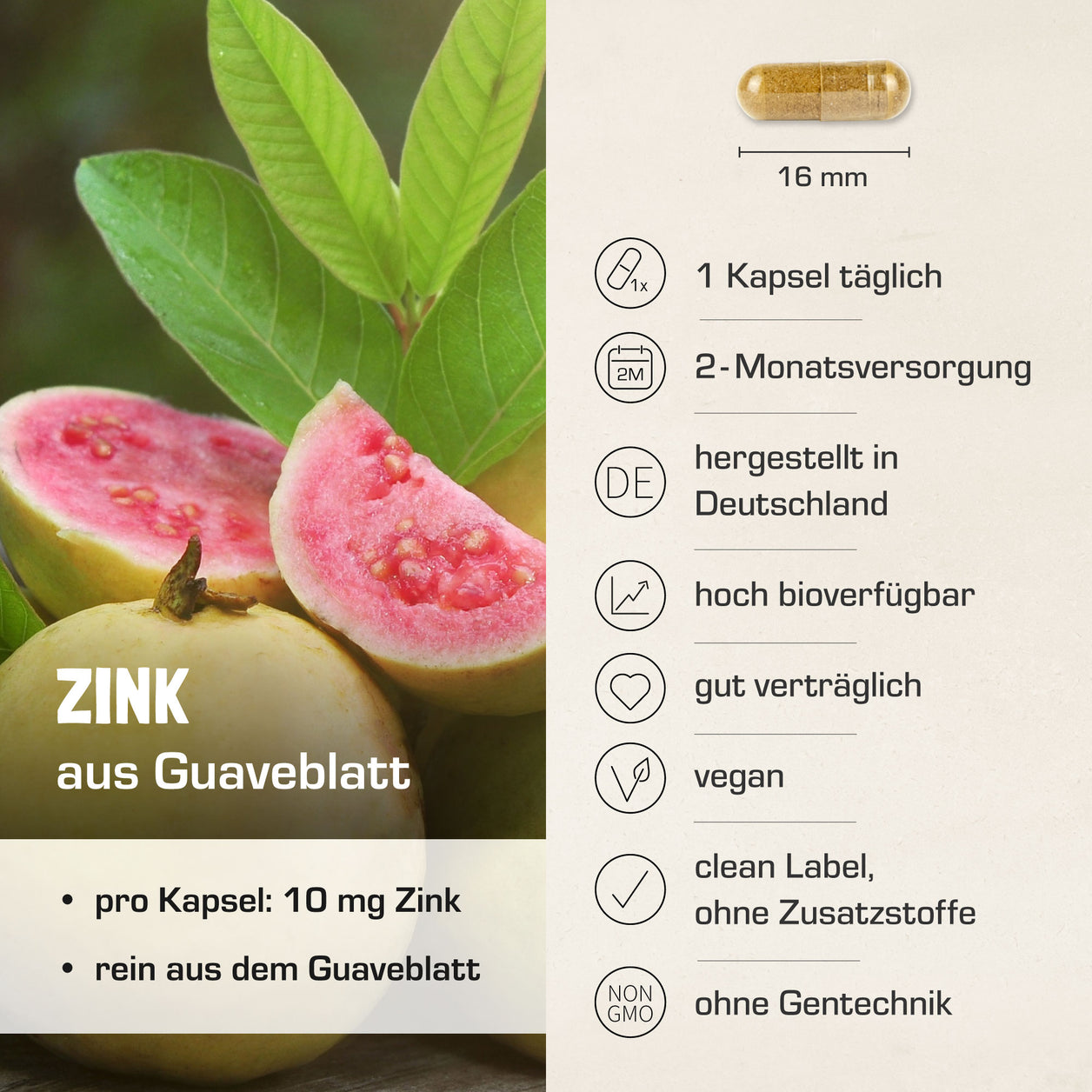 ZINK KAPSELN PFLANZLICH