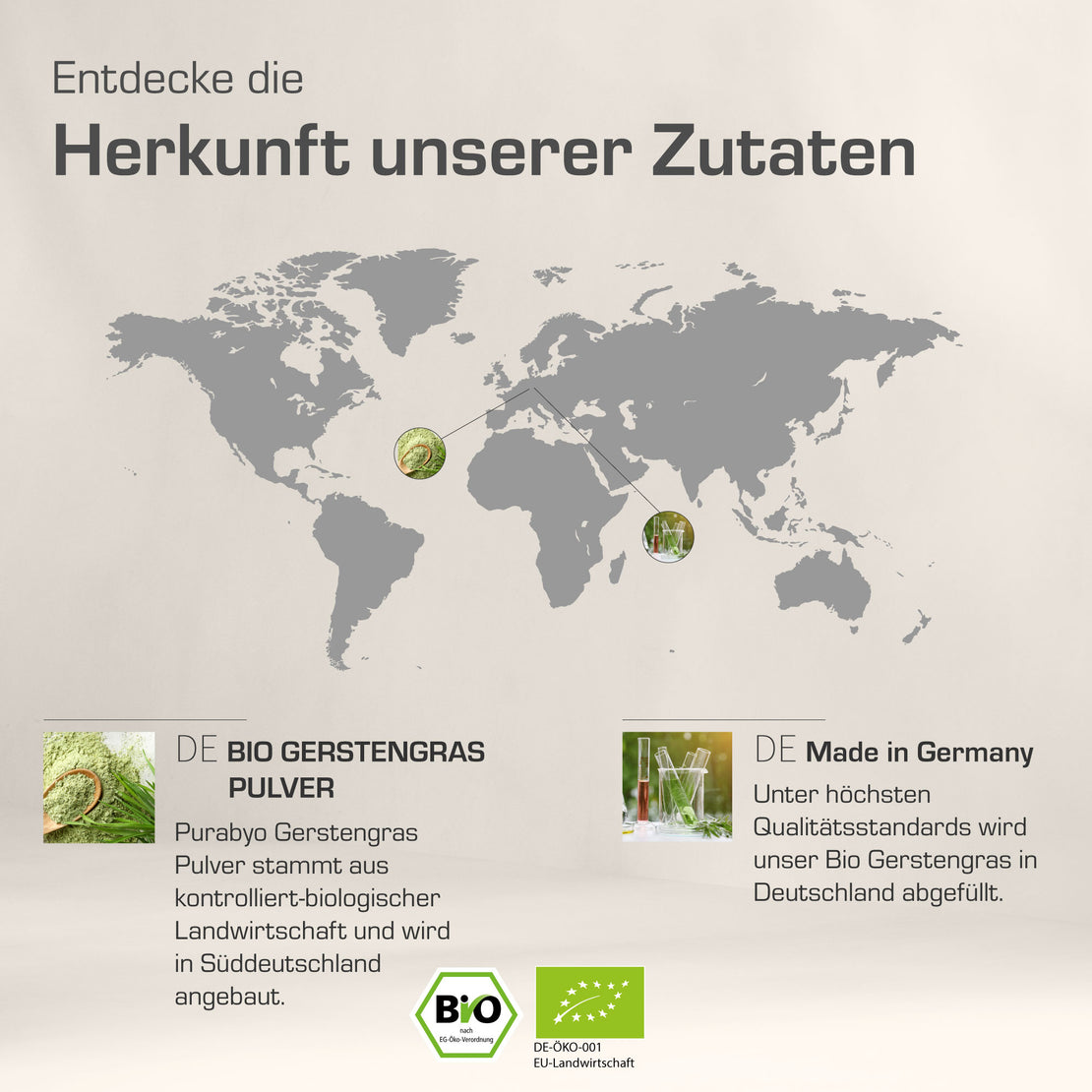 BIO GERSTENGRAS